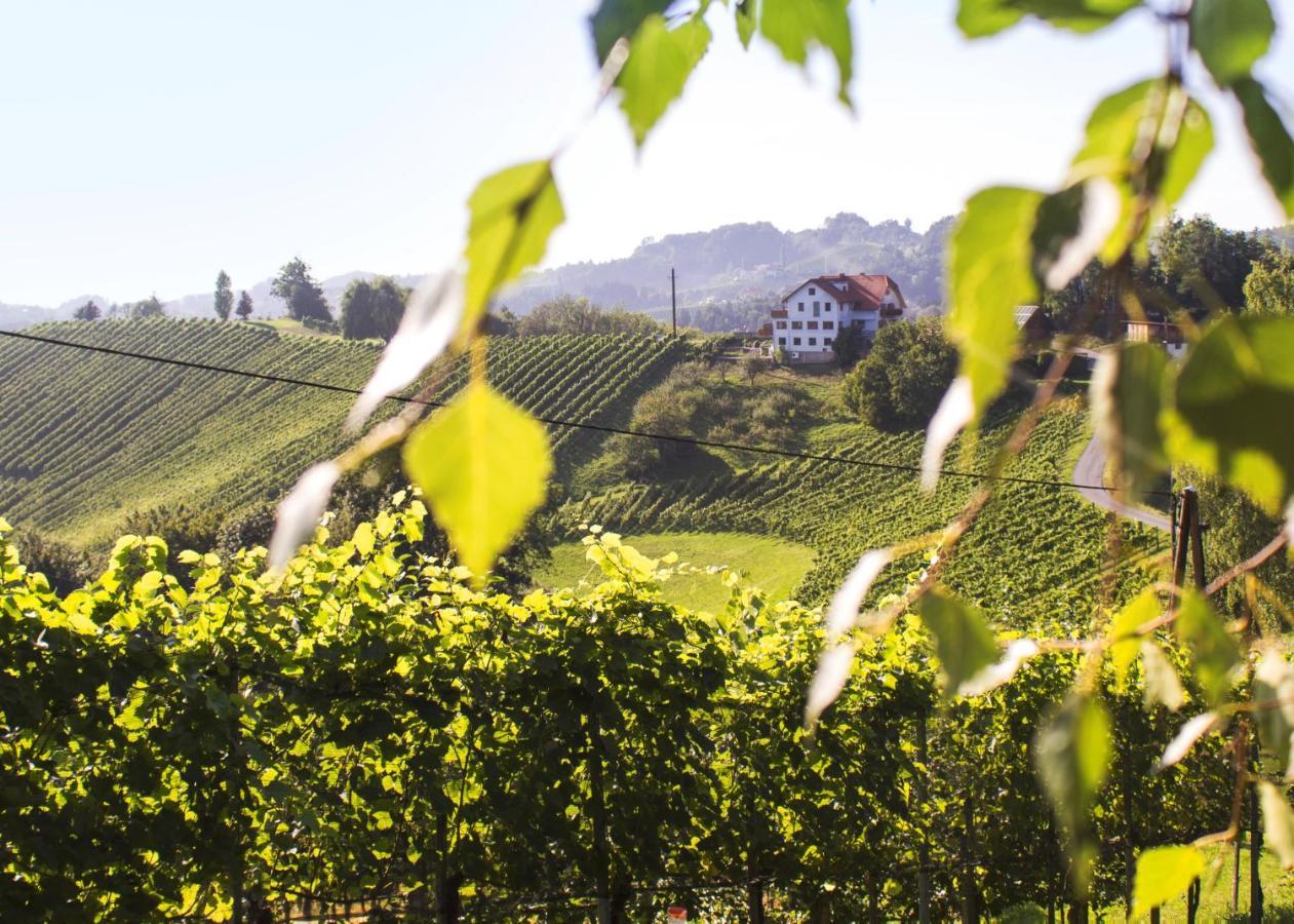 Bed and Breakfast Weingut Peter Grill Leutschach Zewnętrze zdjęcie